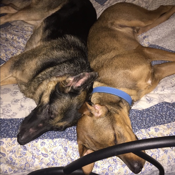 Meet your Posher, TB - Picture 1 of 8